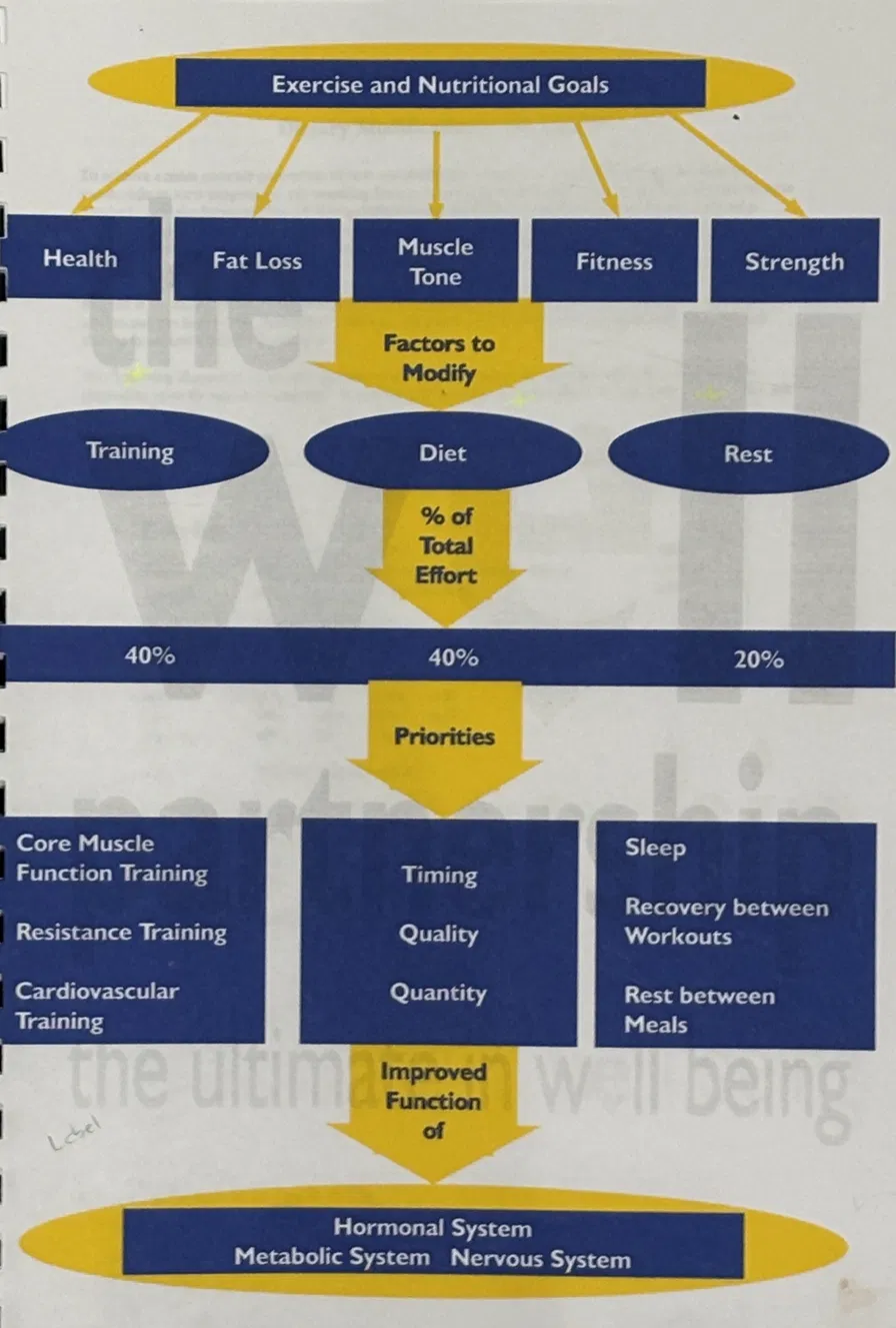 Exercise and Nutritional Goals framework diagram from 1990s diet guide showing Training 40%, Diet 40%, Rest 20% with priorities including Core Muscle Function Training, Timing Quality Quantity, Sleep Recovery Rest between meals, leading to Hormonal System Metabolic System Nervous System