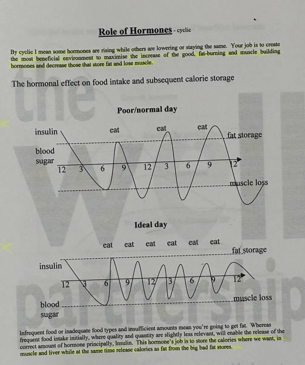 Cyclic hormones and meal timing diagram from 1990s diet guide showing poor day versus ideal day insulin patterns - three large spikes versus six small pulses staying below the fat storage threshold