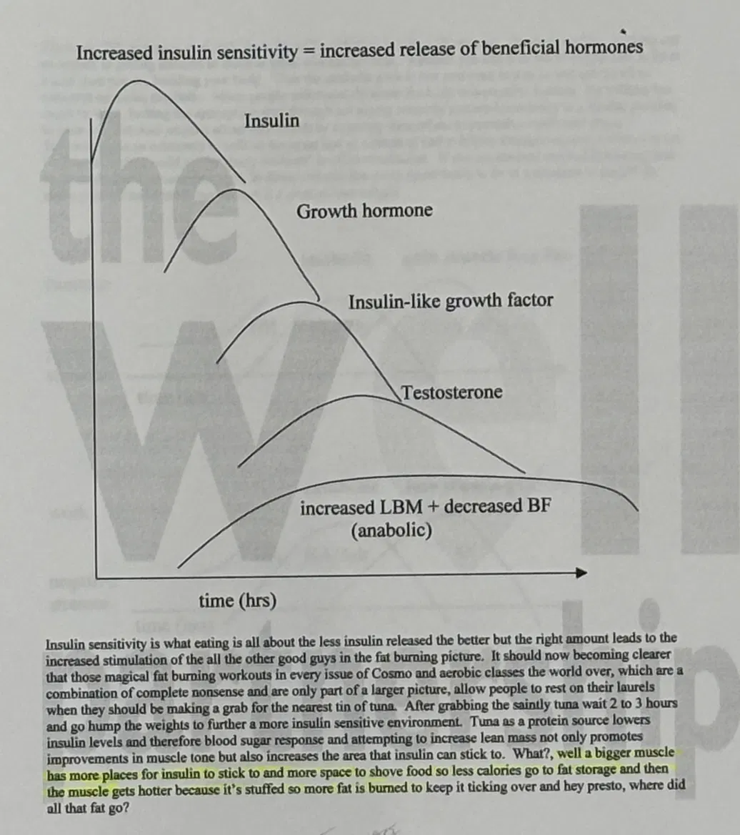 Insulin sensitivity cascade diagram from 1990s diet guide showing how increased insulin sensitivity leads to growth hormone, IGF-1, testosterone release and ultimately increased lean body mass and decreased body fat
