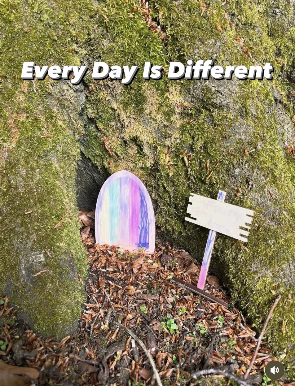 A painted fairy door at the base of a moss-covered tree in the woods, with the words Every Day Is Different