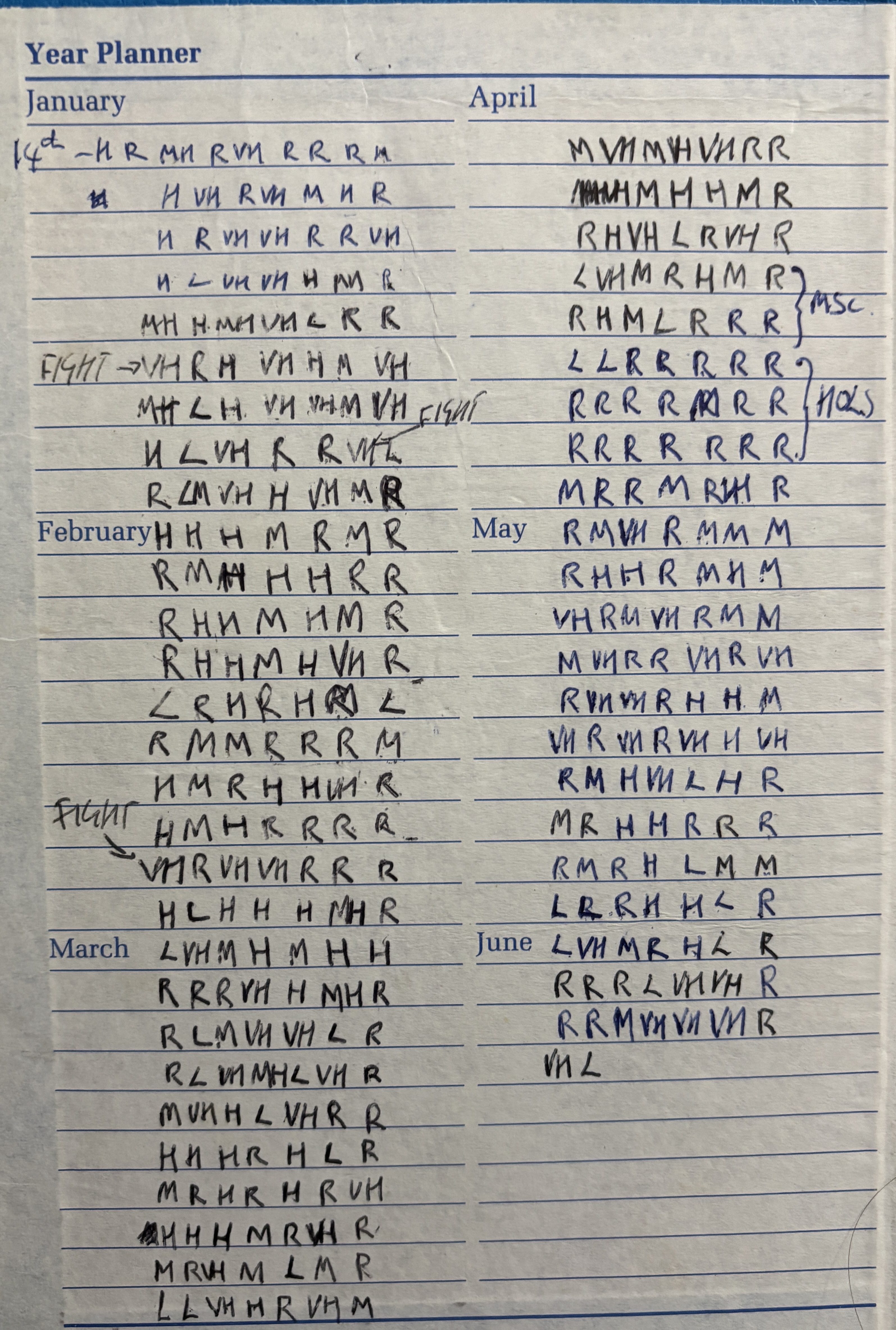 Year planner page from the 1994 training diary showing daily intensity codes in biro — R L M H VH with FIGHT markers