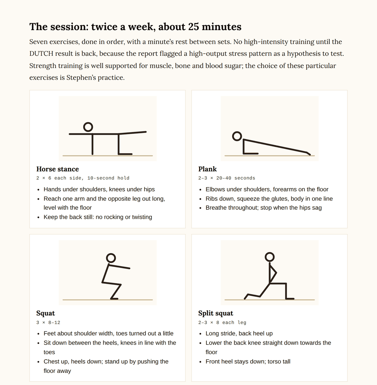 Sample written plan, made-up client: the twice-weekly 25-minute session, with drawings and coaching points for horse stance, plank, squat and split squat.